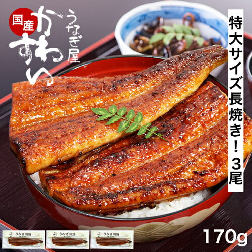 国産特大うなぎ蒲焼き（うなぎ屋かわすい）